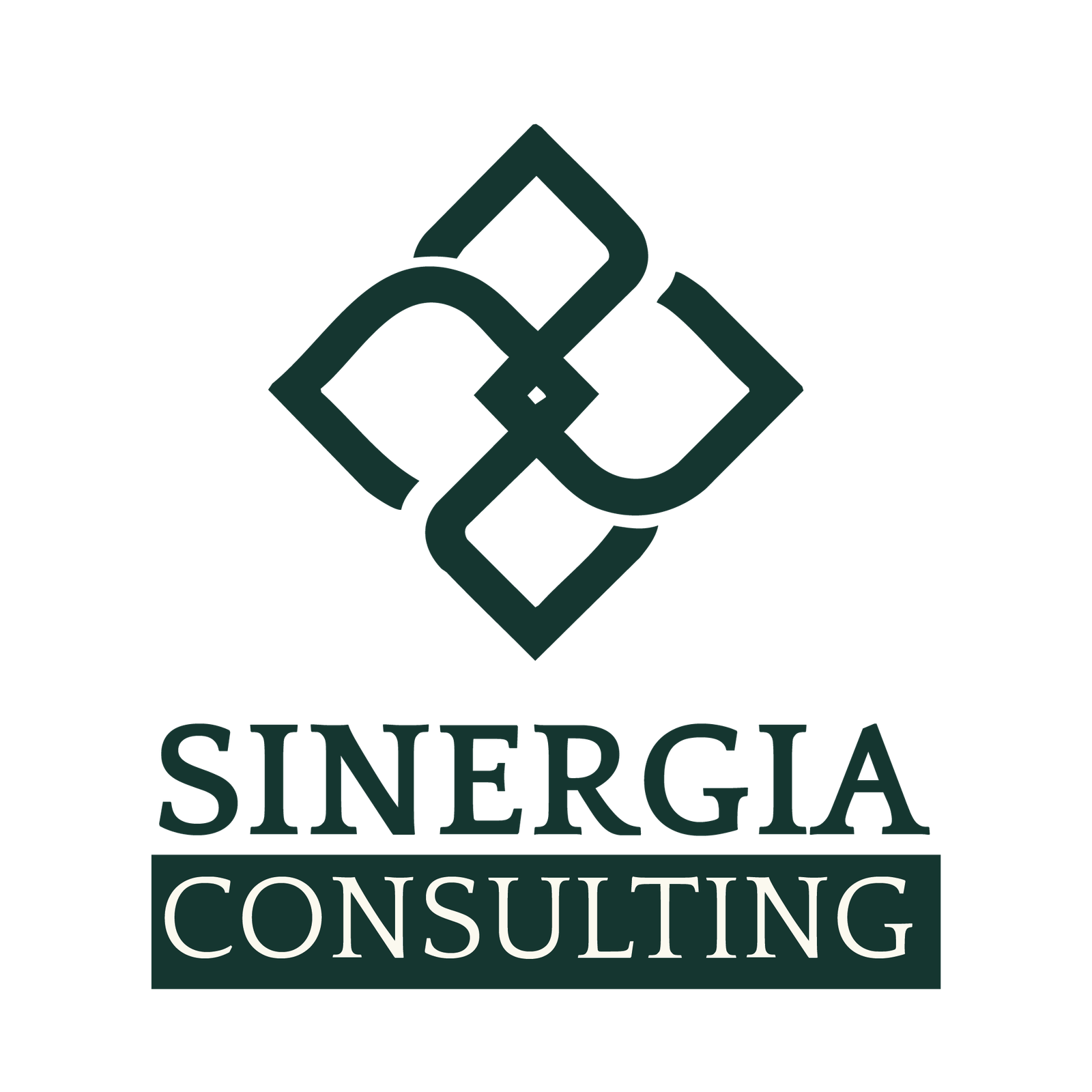 Sinergia Consulting